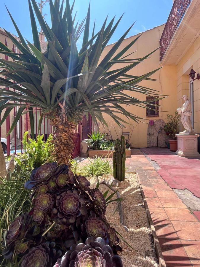 Fitou Abri Du Vent, Chambres Et Appartements المظهر الخارجي الصورة
